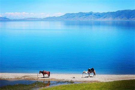 新疆旅游包车，赛里木湖